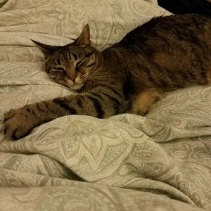 Meet your Posher, Traci